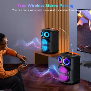 Home Karaoke Machine with 2 Microphone